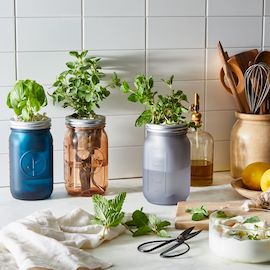 Garden Jar Herb Kit