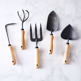 Essential Garden Tools 