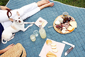 5 Picnic-Perfect Dishes That Taste Great at Room Temperature