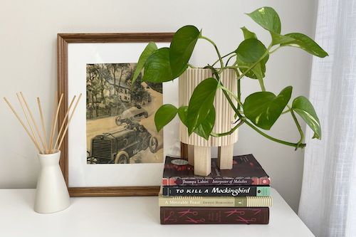   A DIY Plant Stand That's... Hiding in the Recycling Bin