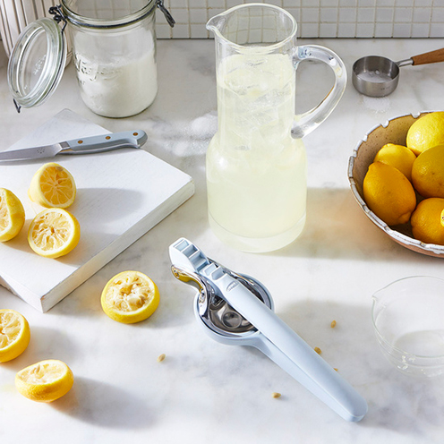 Citrus Juicer