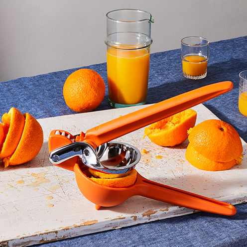 Citrus Juicer