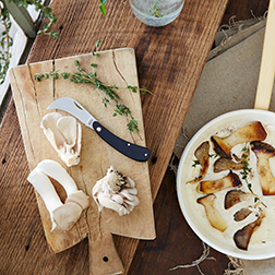 Berti Foraging Knife