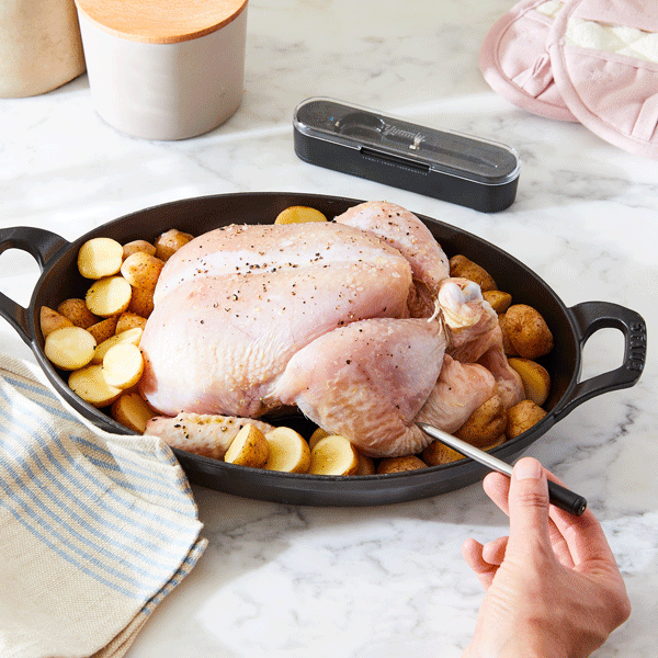 Yummly Smart Thermometer