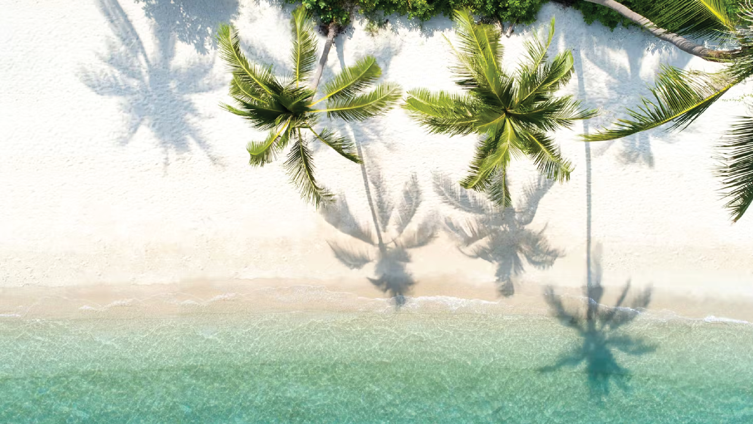 LEAFLY IS THE PLACE FOR WEED