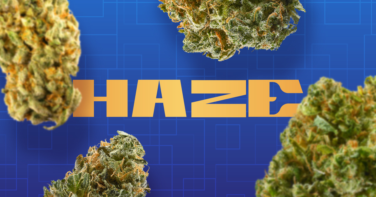 LEAFLY IS THE PLACE FOR WEED