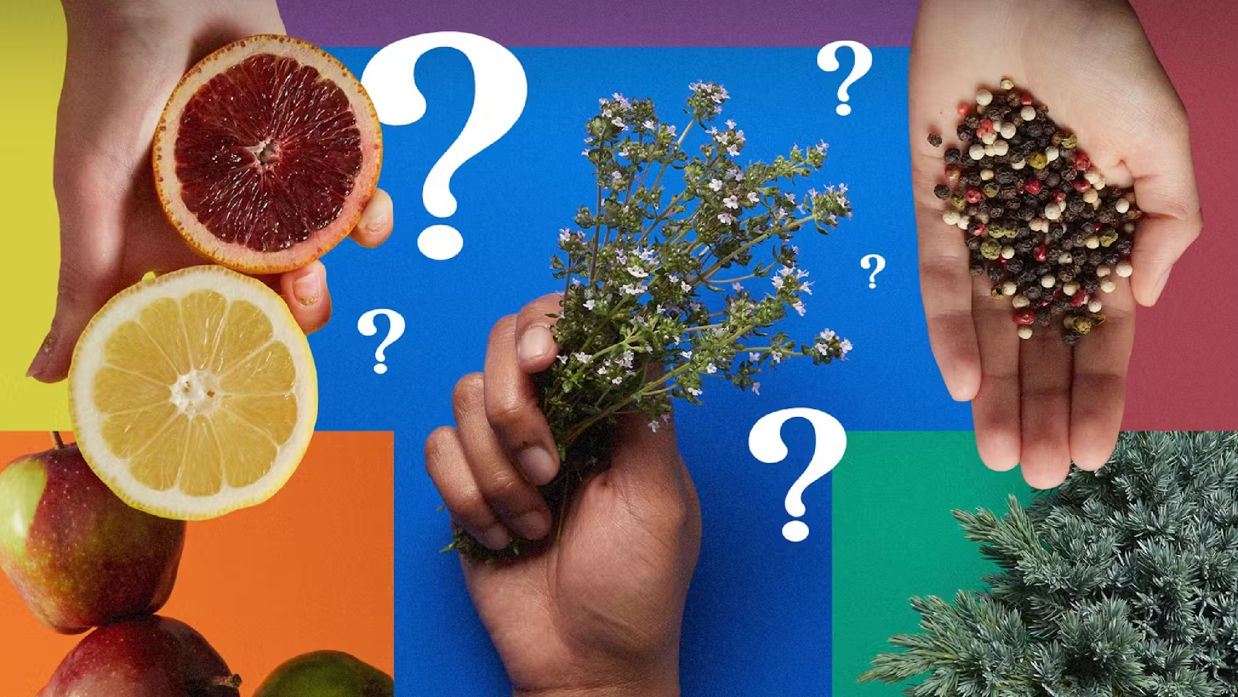 LEAFLY IS THE PLACE FOR WEED