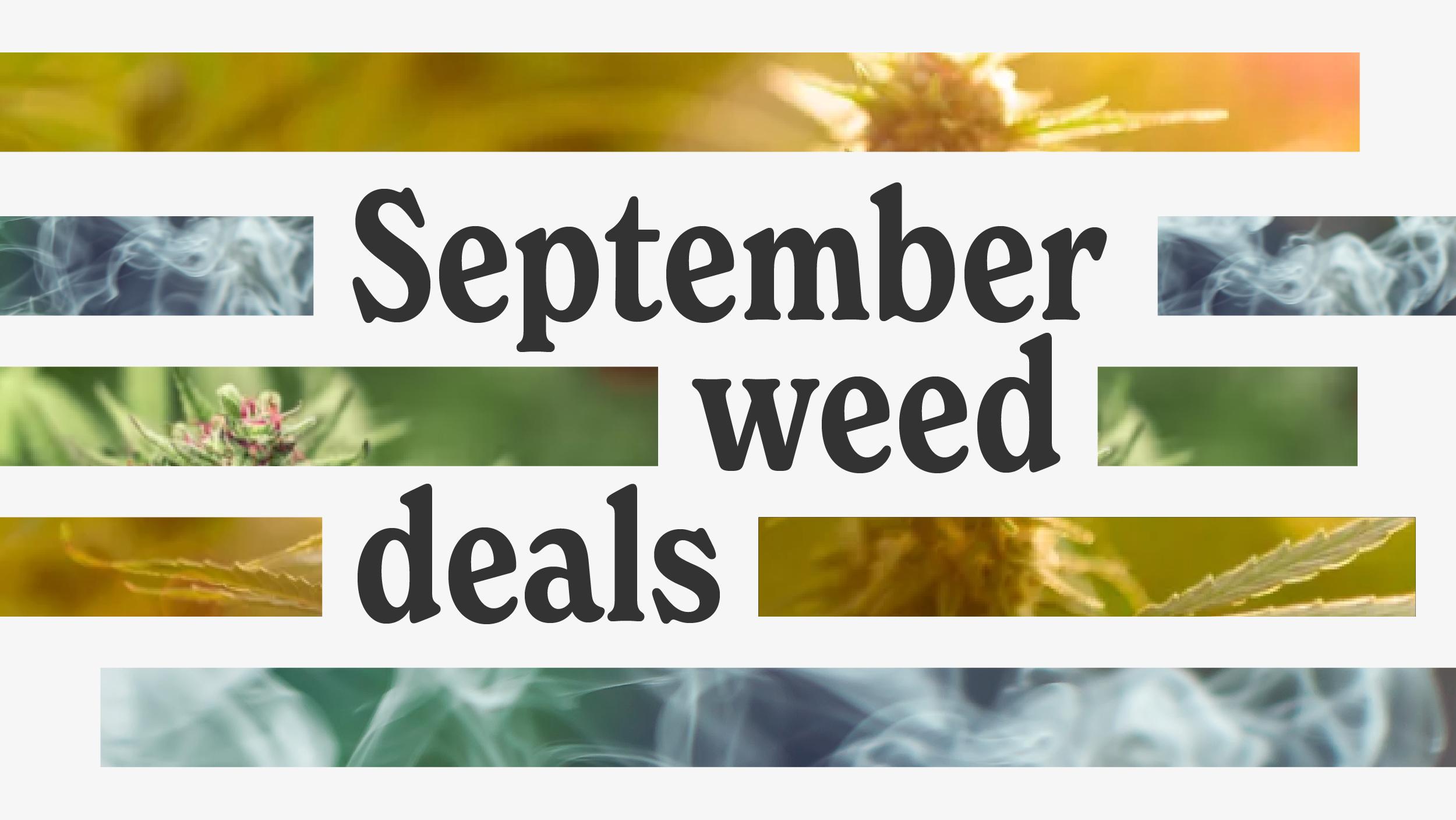 LEAFLY IS THE PLACE FOR WEED