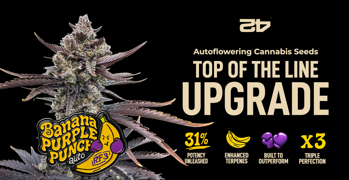 Exclusive deal from a Leafly sponsor