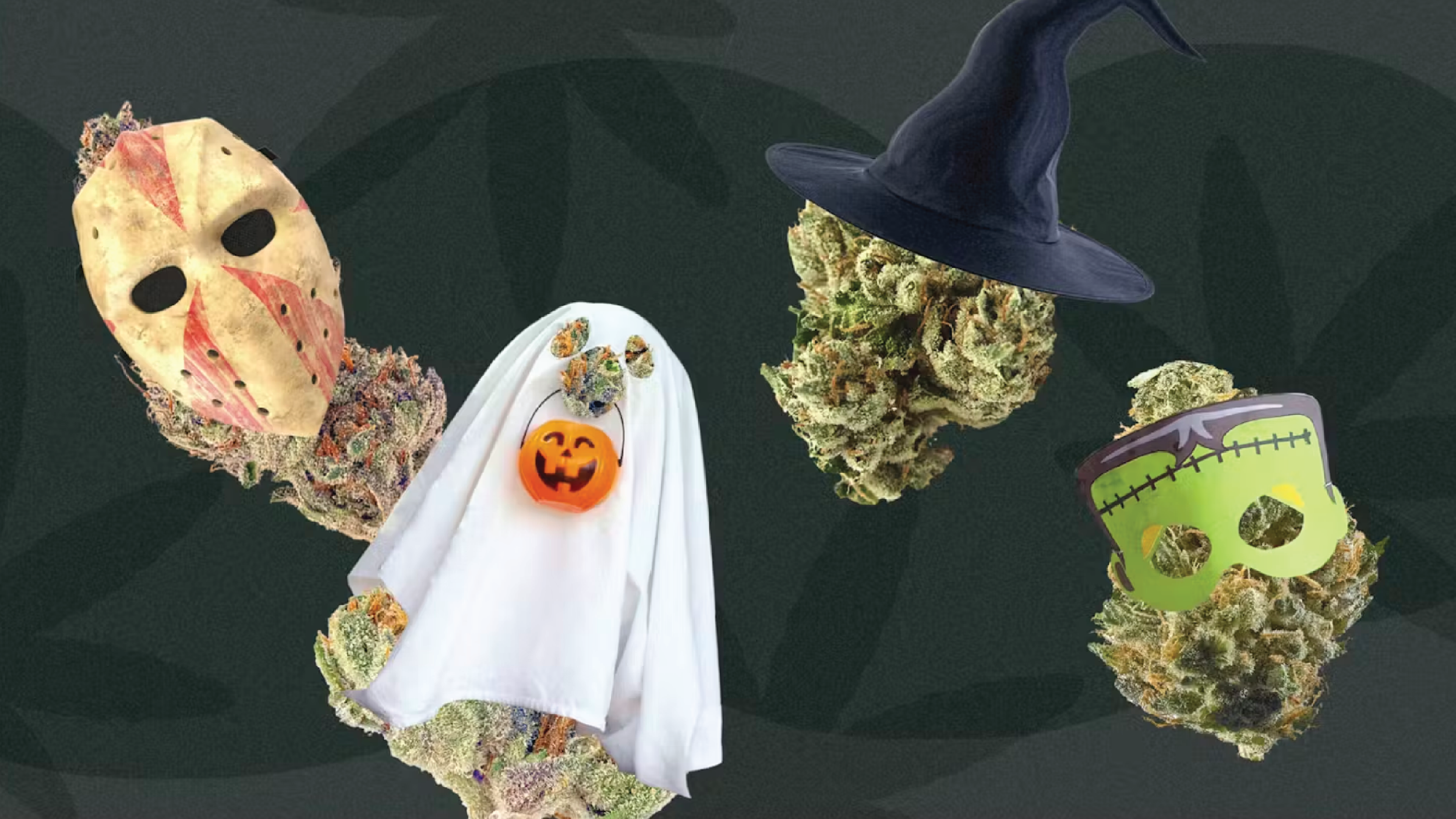 LEAFLY IS THE PLACE FOR WEED