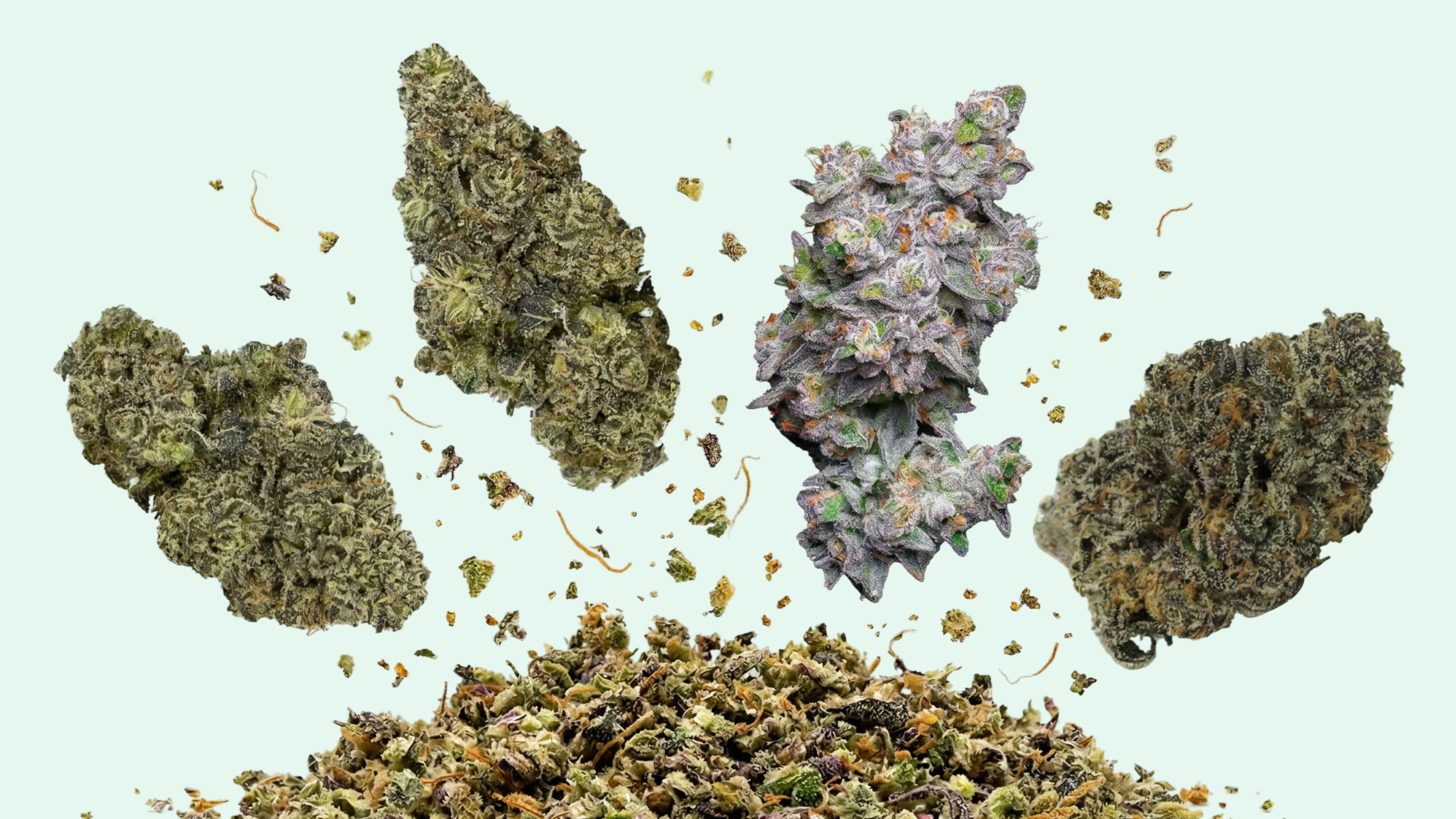 LEAFLY IS THE PLACE FOR WEED