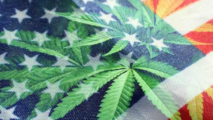 LEAFLY IS THE PLACE FOR WEED