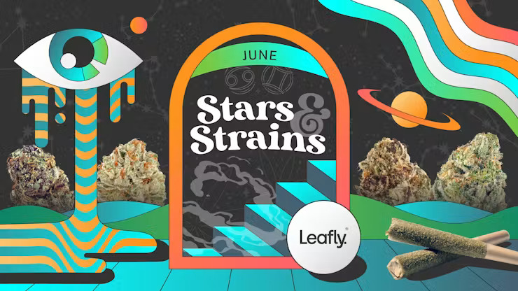 LEAFLY IS THE PLACE FOR WEED