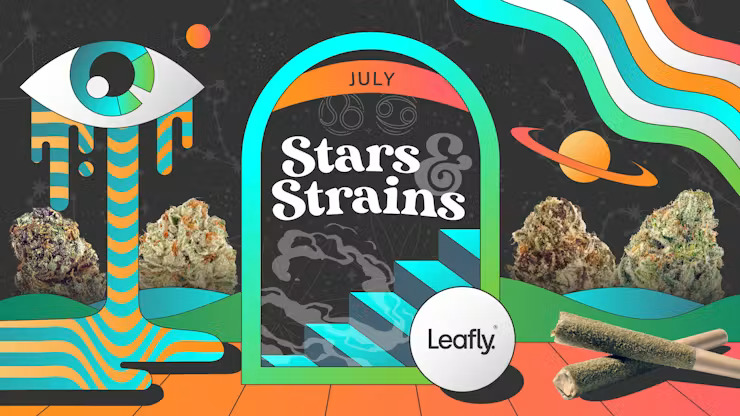 LEAFLY IS THE PLACE FOR WEED