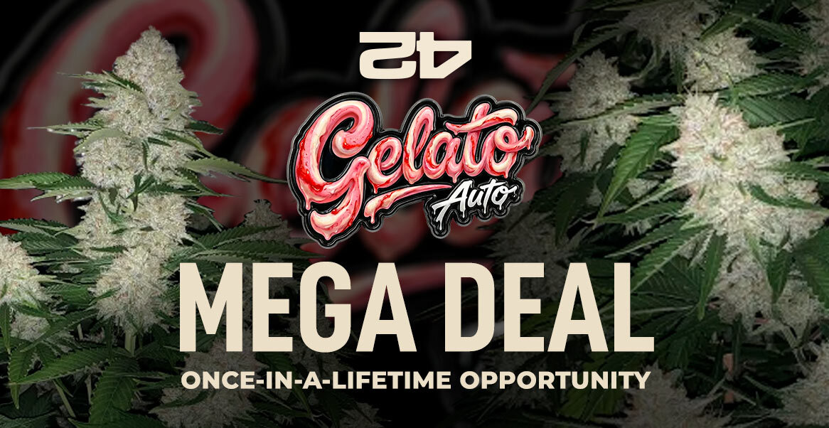 Exclusive deal from a Leafly sponsor