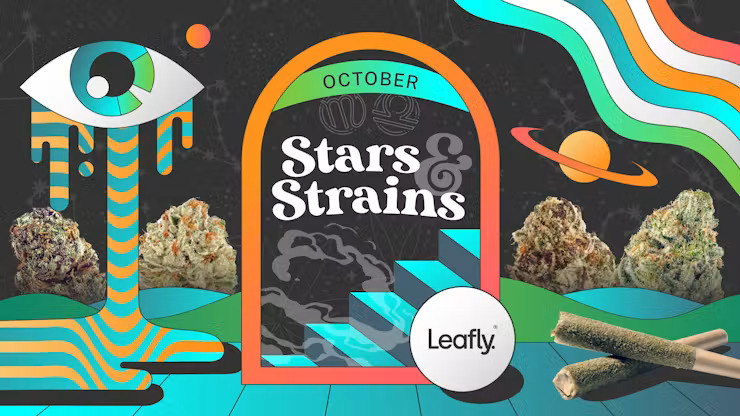LEAFLY IS THE PLACE FOR WEED