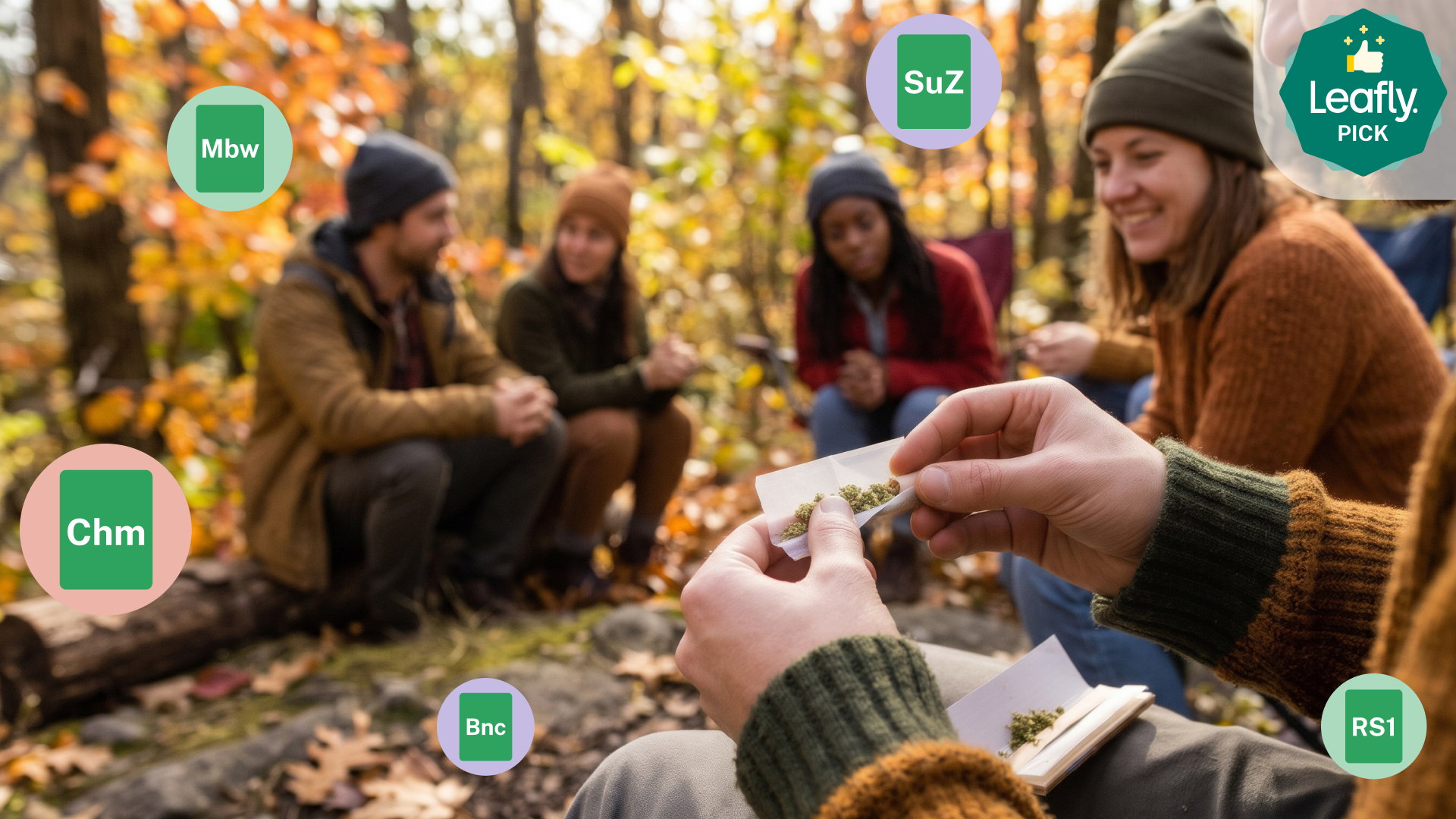 LEAFLY IS THE PLACE FOR WEED