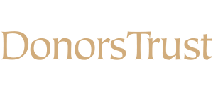 DT_NR DAILY_2-10_logo.png