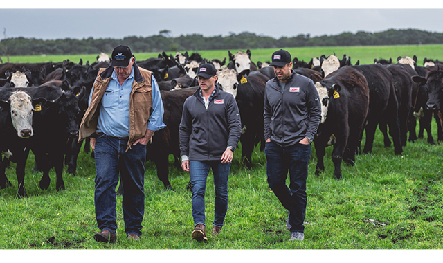 Why Chomps Is Committed to Animal Welfare