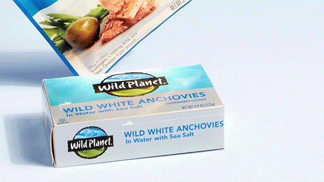 Wild Planet’s Sustainable Fishing
