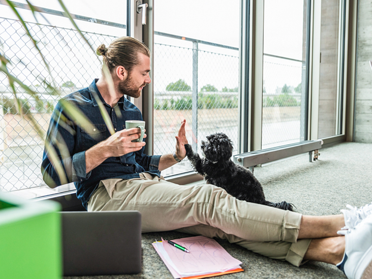 How These Dogs Help Their Humans During MS Flares