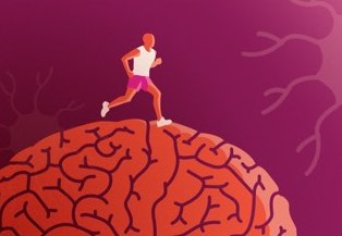 Keeping The Brain Healthy with MS