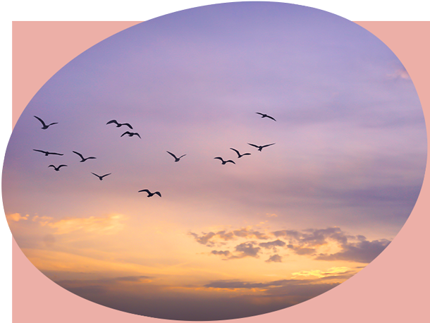 Night owls and early birds share their perspectives