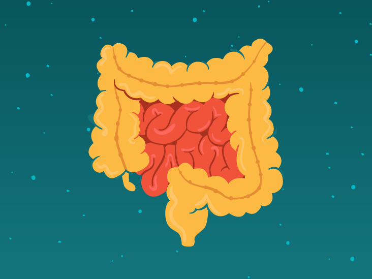Join Our Digestive Health Newsletter