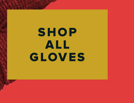 Gloves Under $100