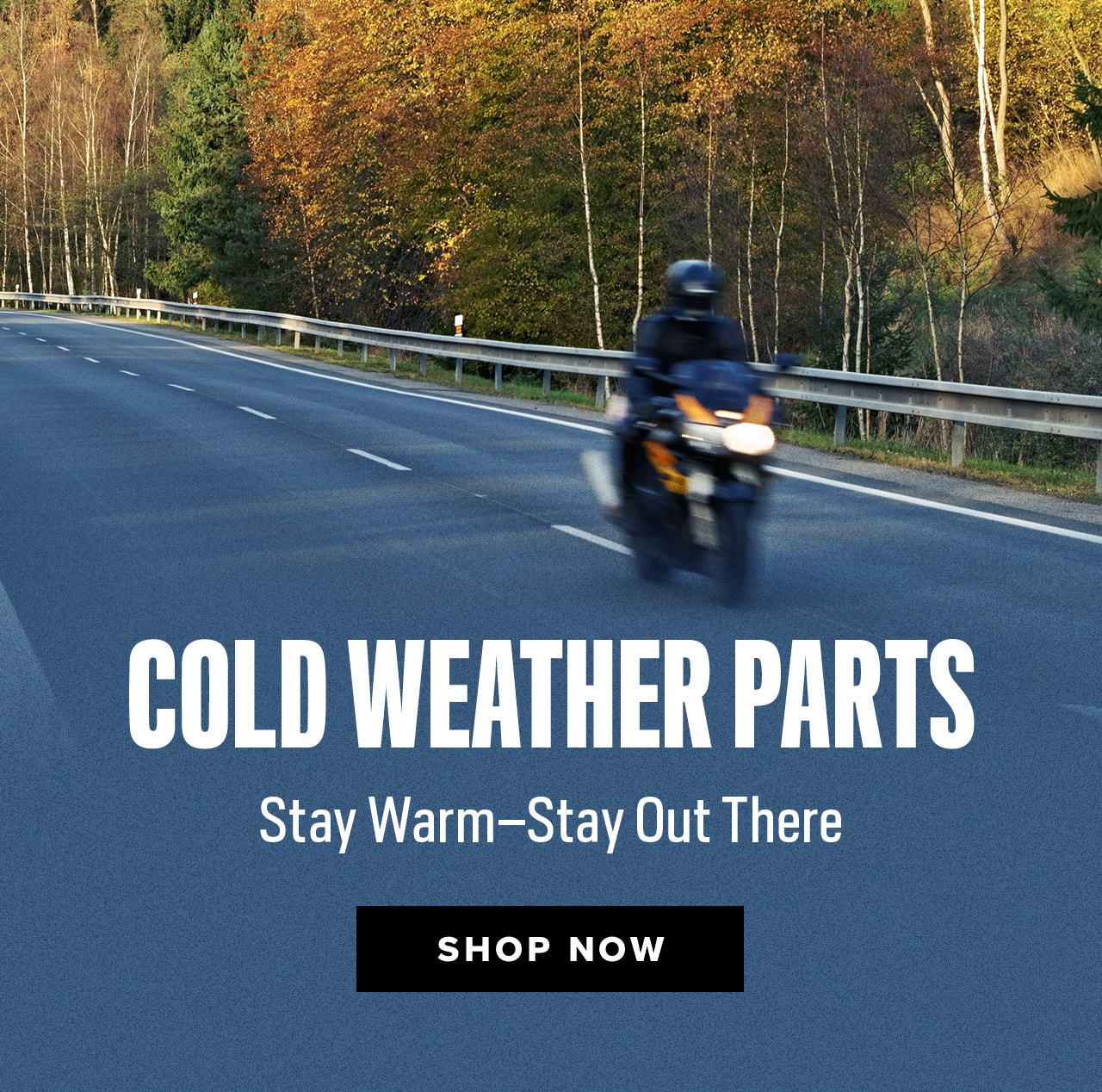 Cold Weather Motorcycle Parts
