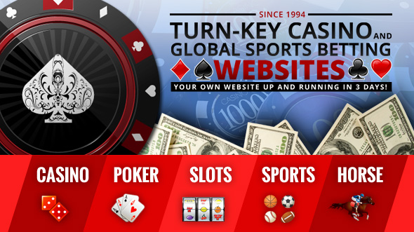 Teleteria Casino & Sports Betting Website Package