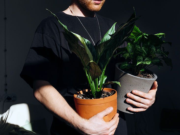 Longevity: Expert tips for staying active as we age