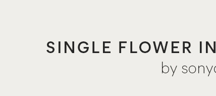 Single Flower In A Porcelain Vase