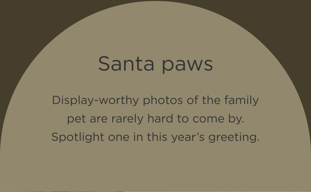Santa Paws
