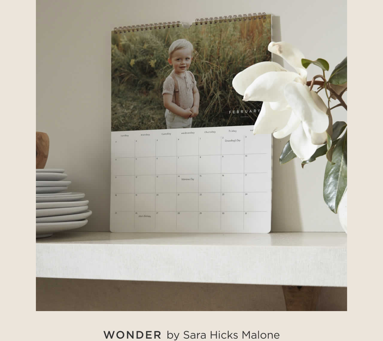 Wonder
