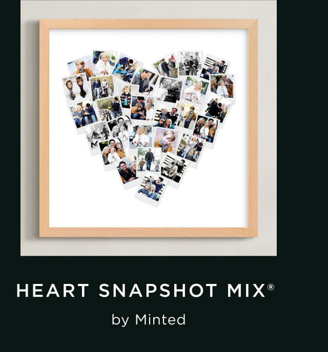 Heart Snapshot Mix®