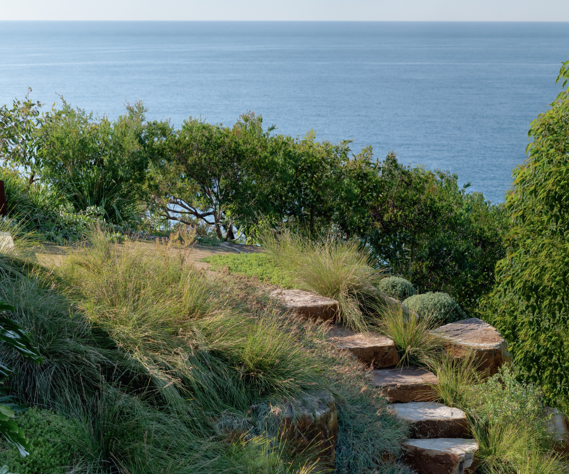 A Hardy Central Coast Garden Where the Bush Meets the Sea