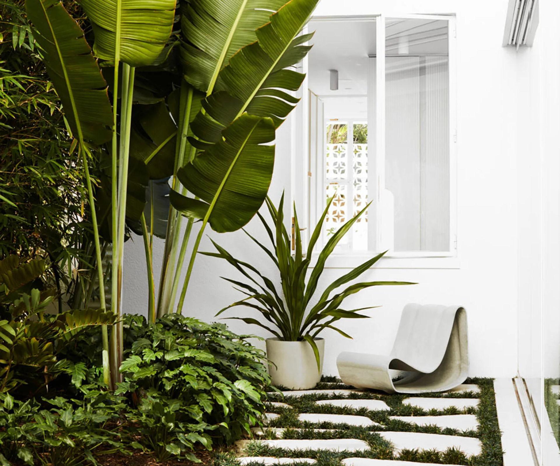 15 tips from expert gardeners to help your plants survive summer