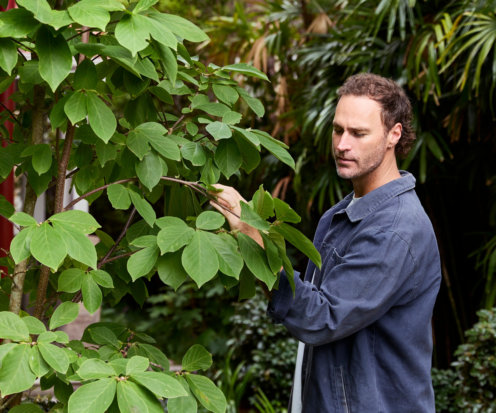 Everything to trim and plant in the garden this March