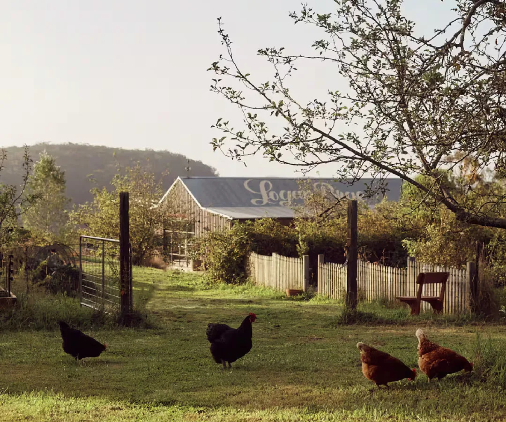 The 10 most breathtaking Blue Mountains stays worth booking in 2026