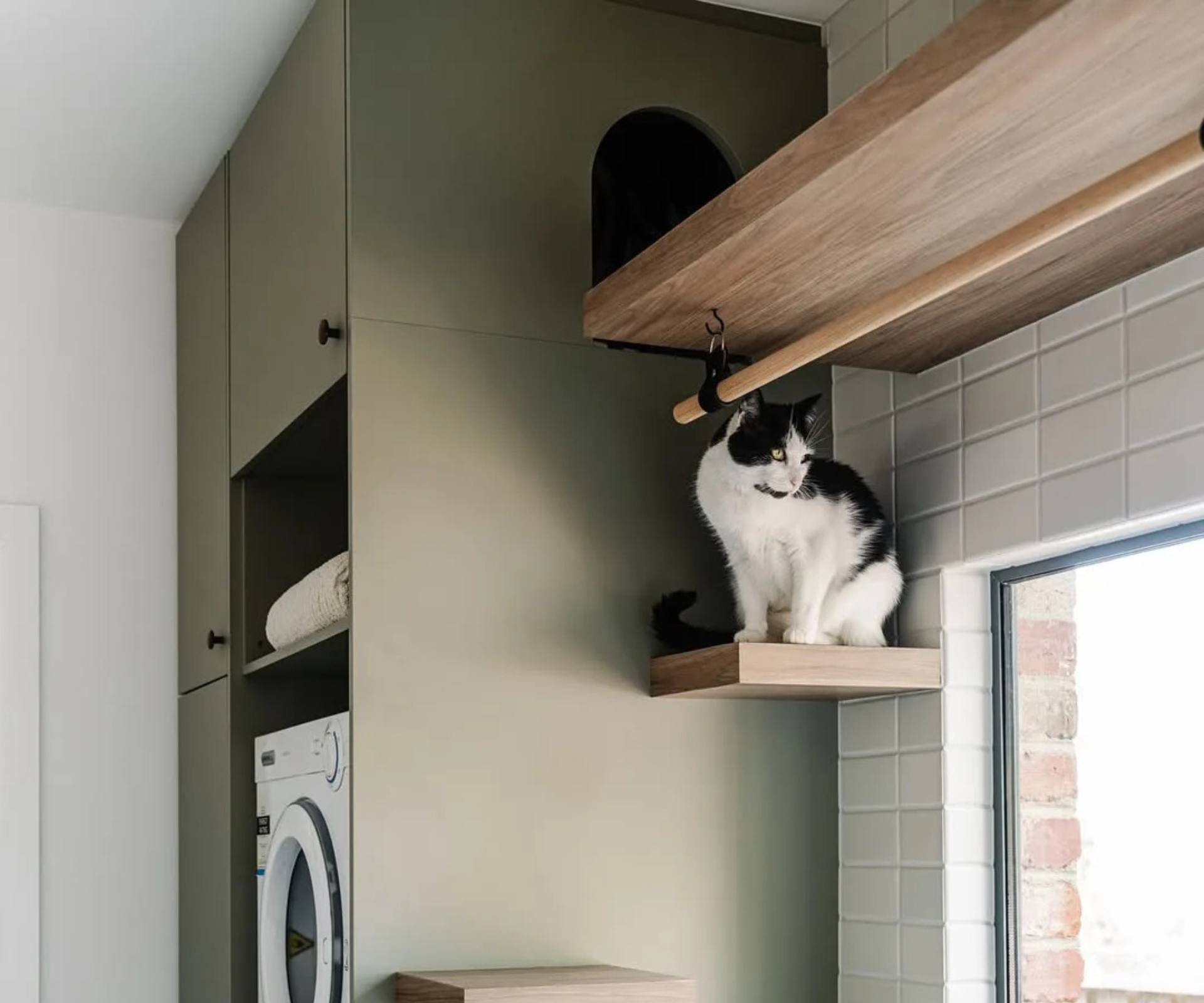 Why cat-friendly interiors are taking over 2026