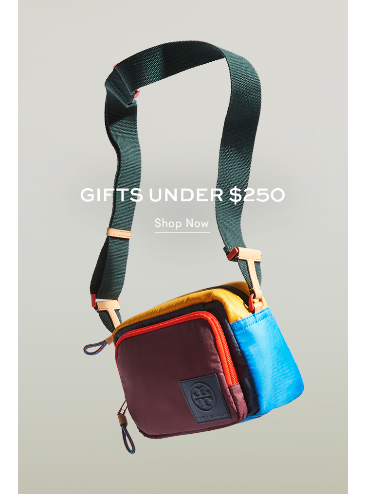 Gifts Under $250