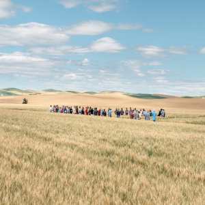 landscape image of a plain.