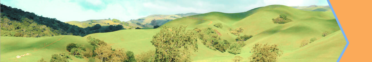 Image of lush green land and trees.