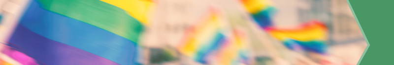 Image of pride flags