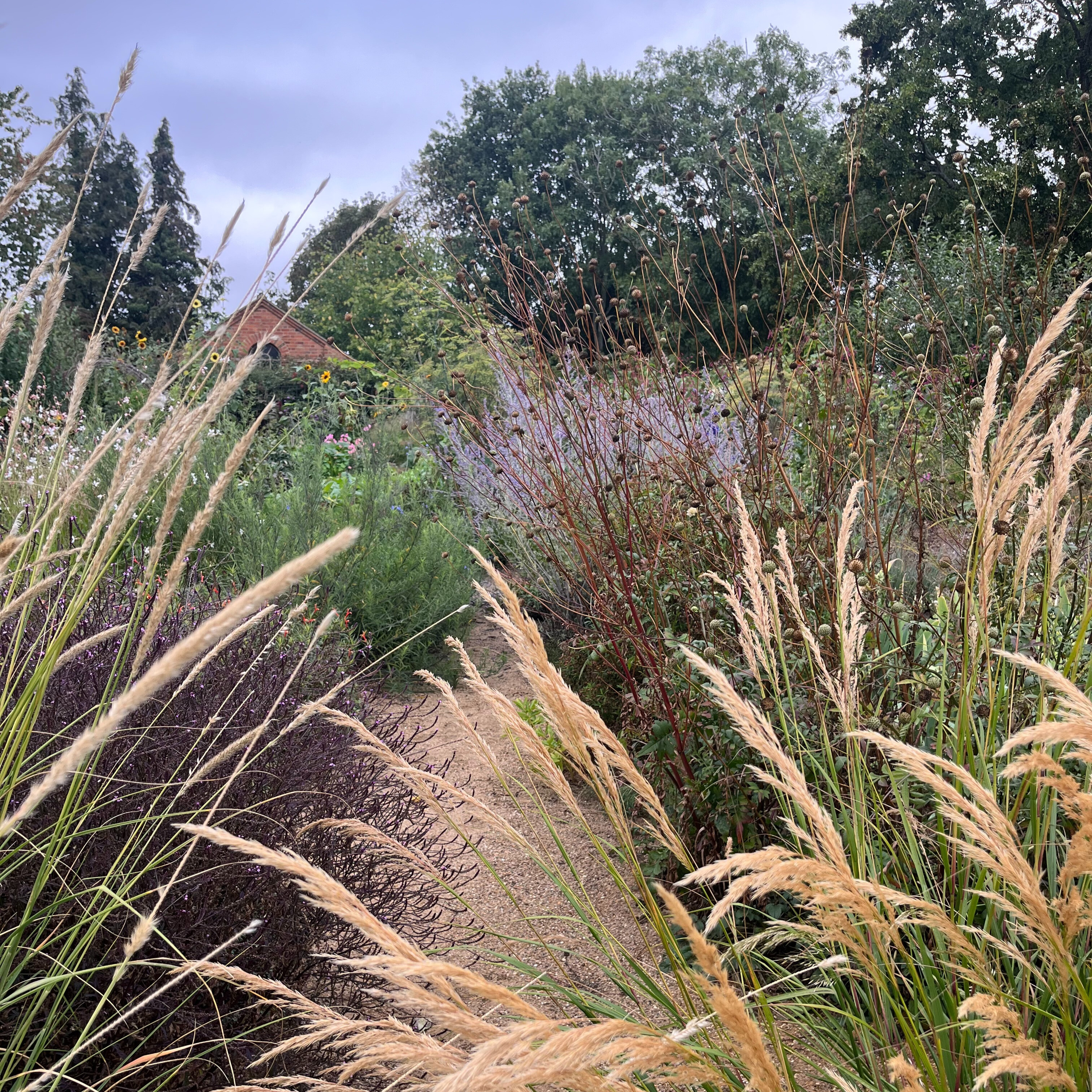 Discovering the botanical gems at the Serge Hill Plant Library