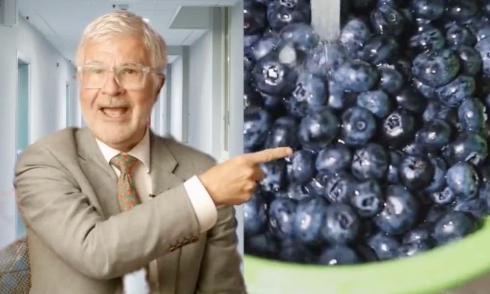 MCT Wellness Berries