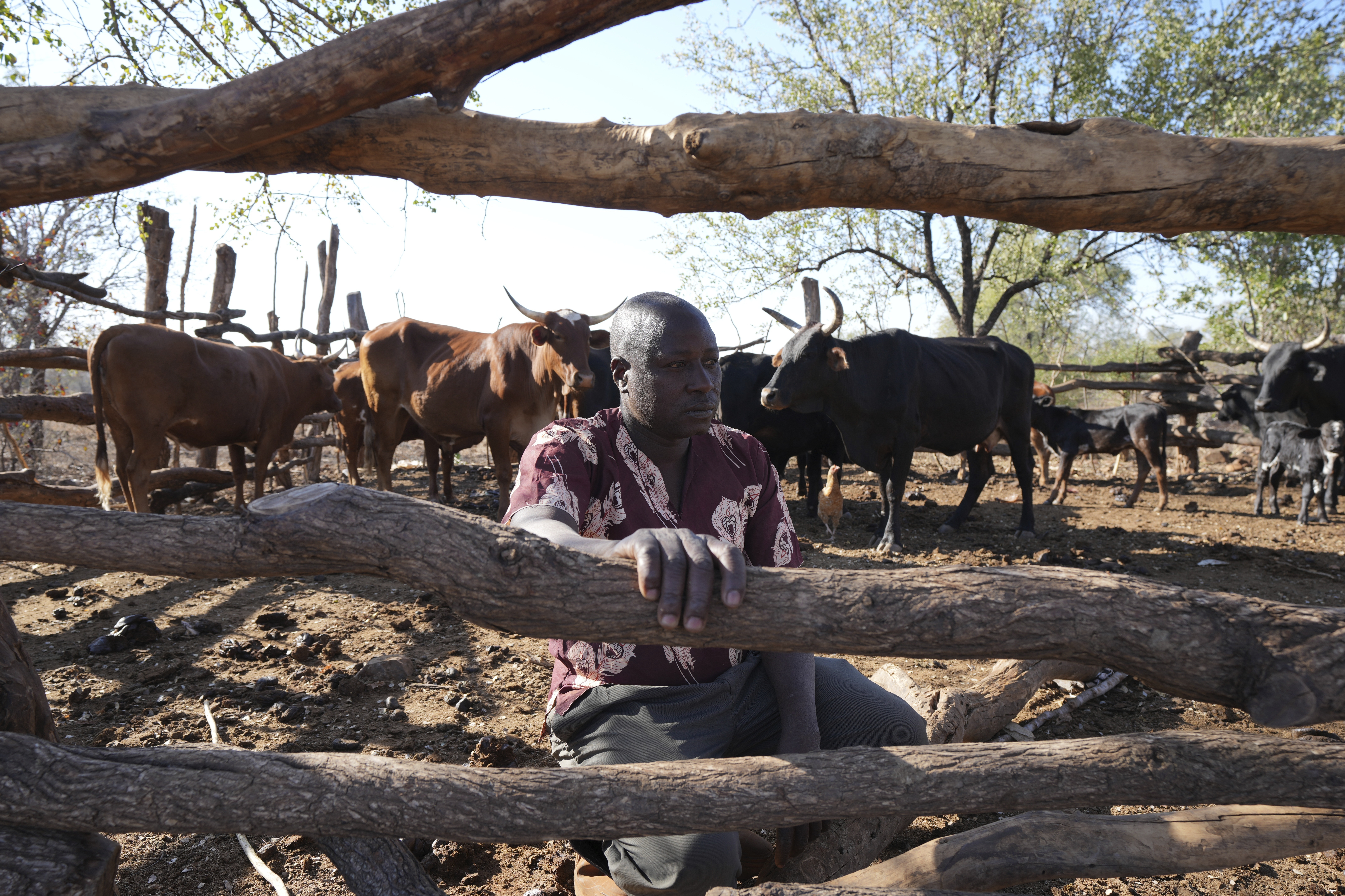 Tembanechako Mastick, a former poacher who now teaches conservation, poses inside his cattle pen in Chiredzi, Zimbabwe near the Save Valley Conservancy, in July.