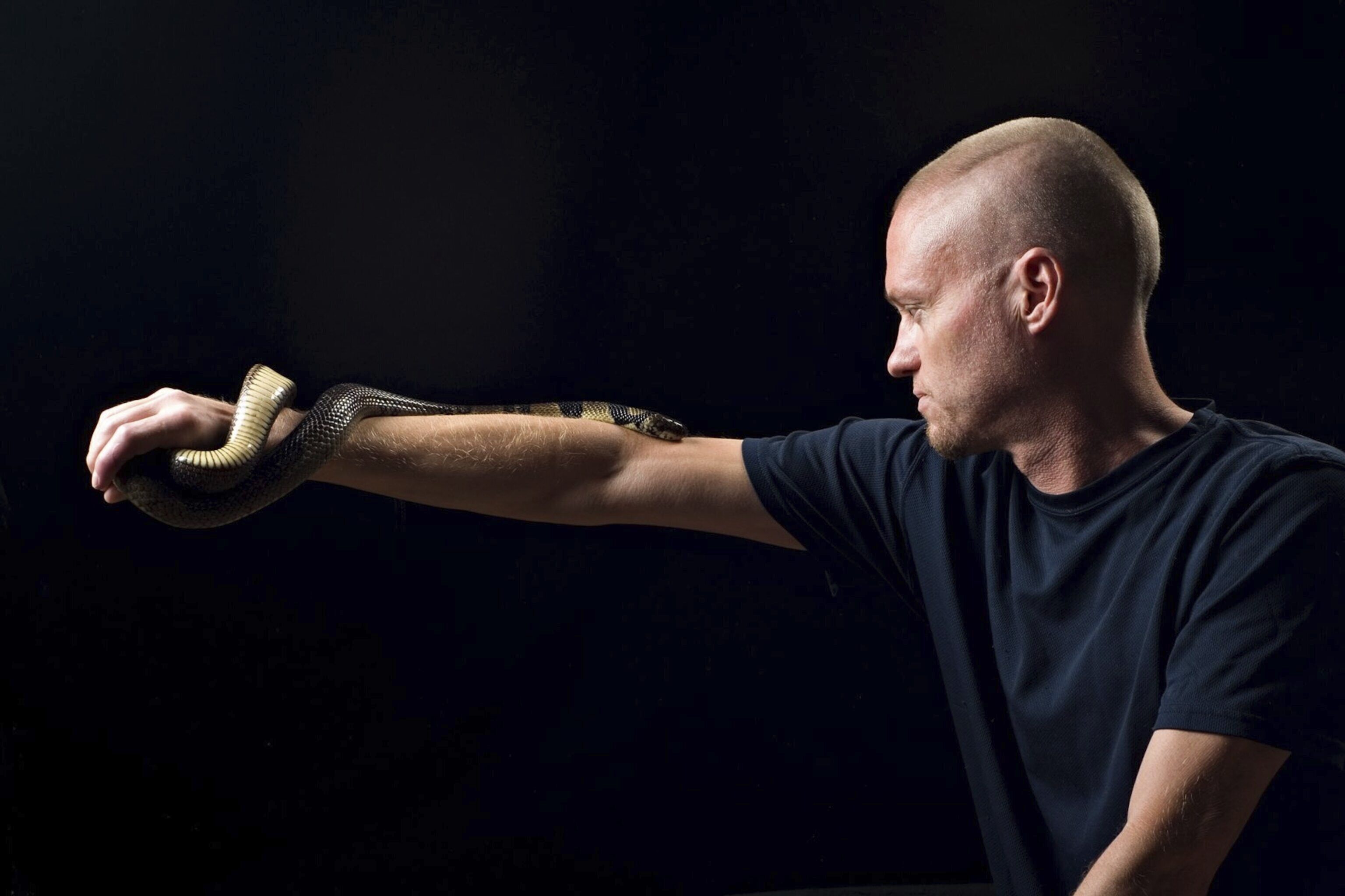 This undated photo provided by Centivax in 2025 shows Tim Friede, who is hyper-immune to the venom of various snakes, with a water cobra wrapped around his arm. (Centivax via AP).