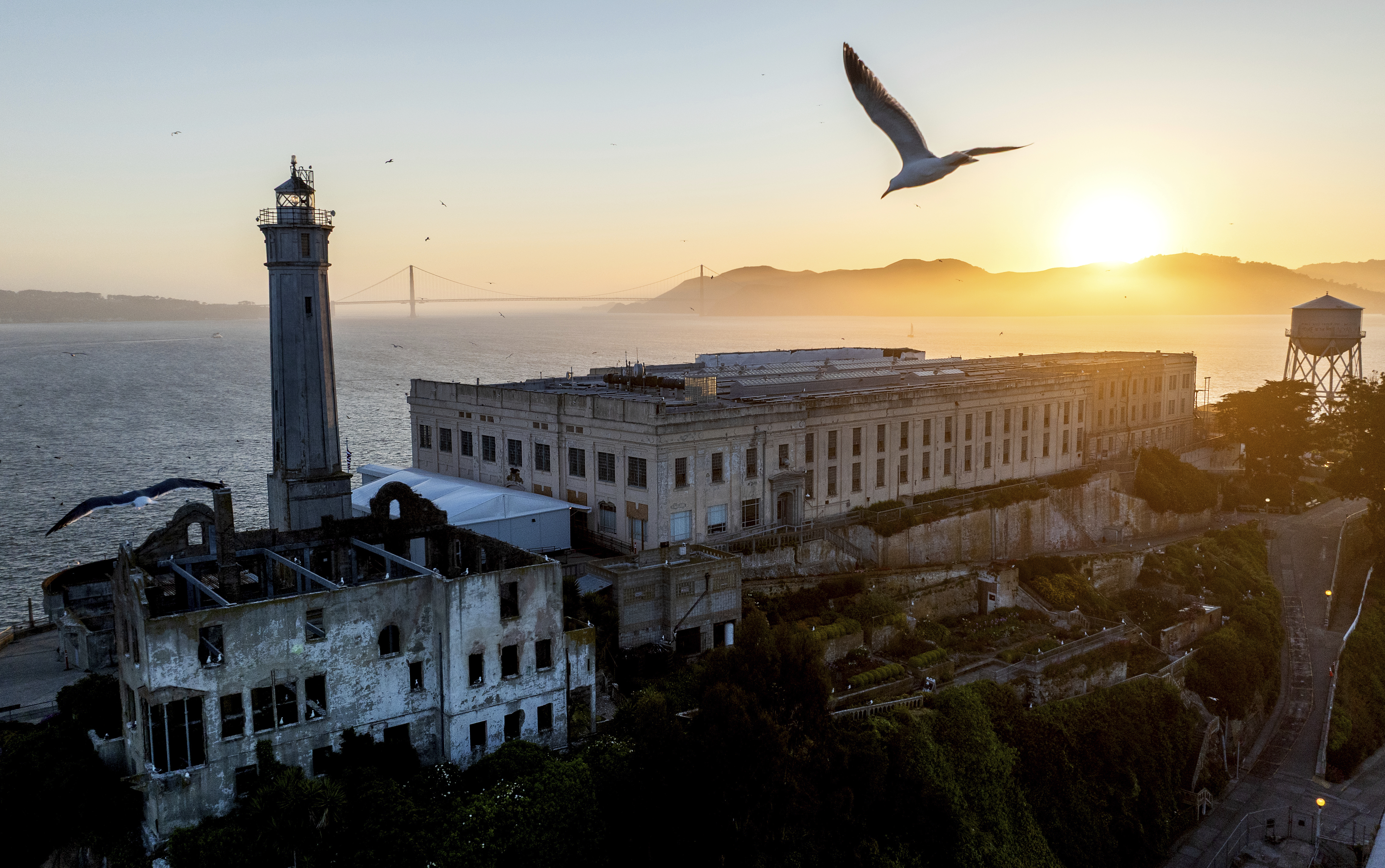 A bird flies above Alcatraz Island on Sunday. (AP Photo/Noah Berger).